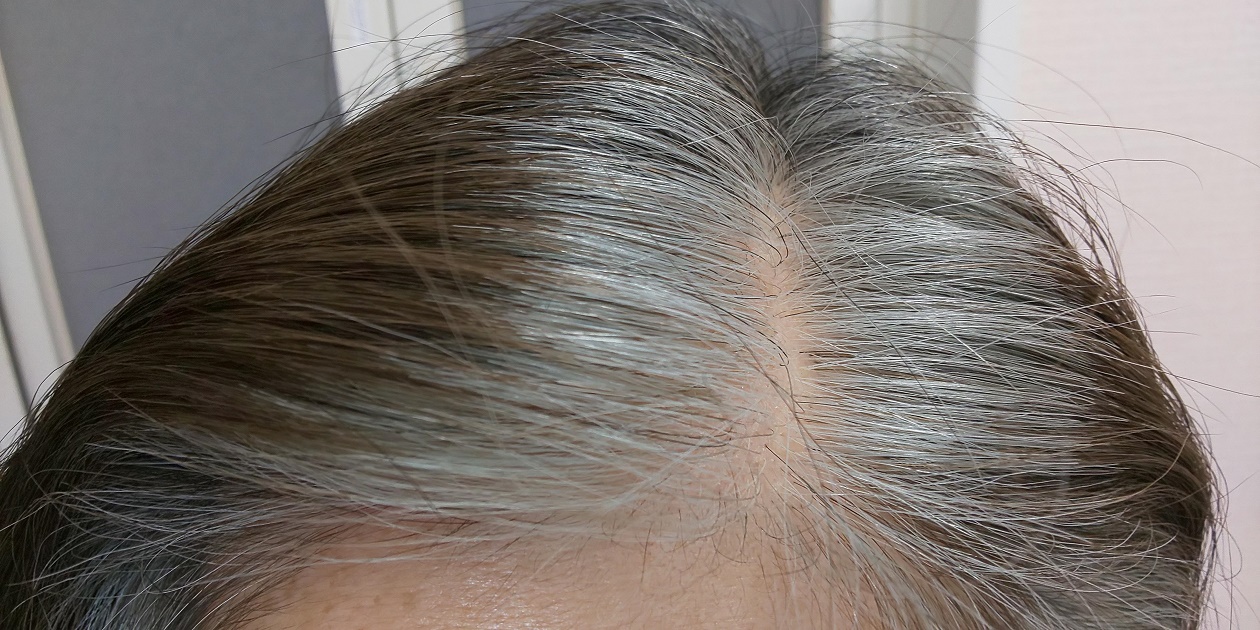 利尻カラーシャンプーブラックを40回使ってみたら決断の時がきた 春のうららのうららかな日々