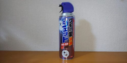 クモとクモの巣を見ない家にするために 春のうららのうららかな日々