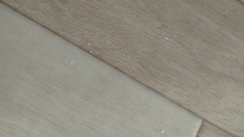 床にポロポロとむけた皮が